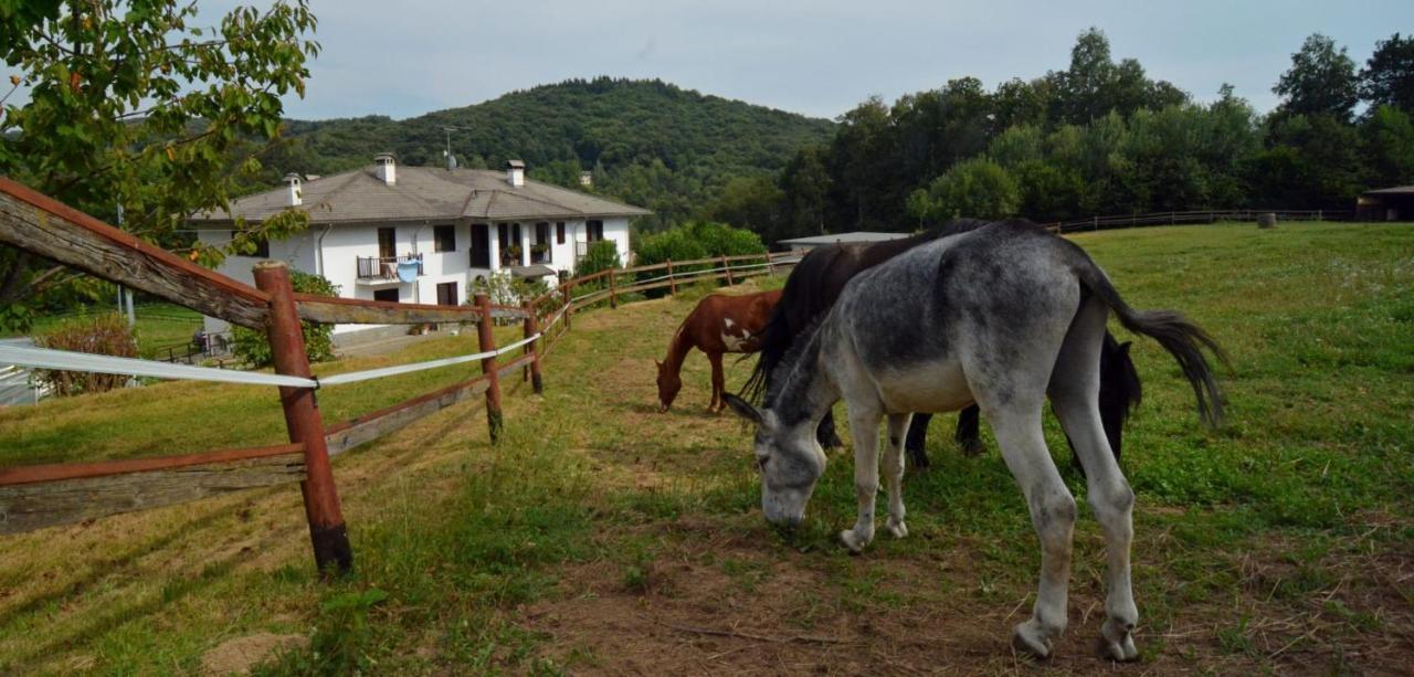 Favetto Family Ranch Bed & Breakfast Rueglio Exterior foto