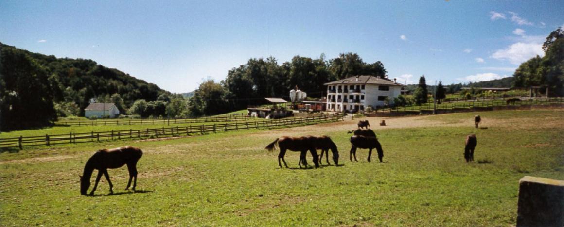 Favetto Family Ranch Bed & Breakfast Rueglio Exterior foto