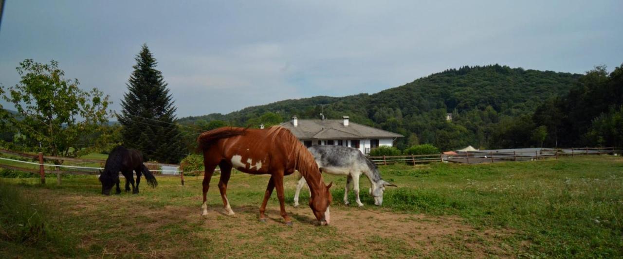 Favetto Family Ranch Bed & Breakfast Rueglio Exterior foto