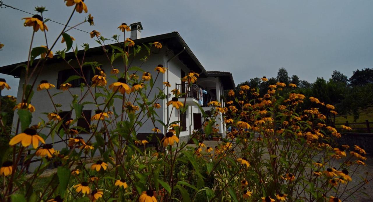 Favetto Family Ranch Bed & Breakfast Rueglio Exterior foto