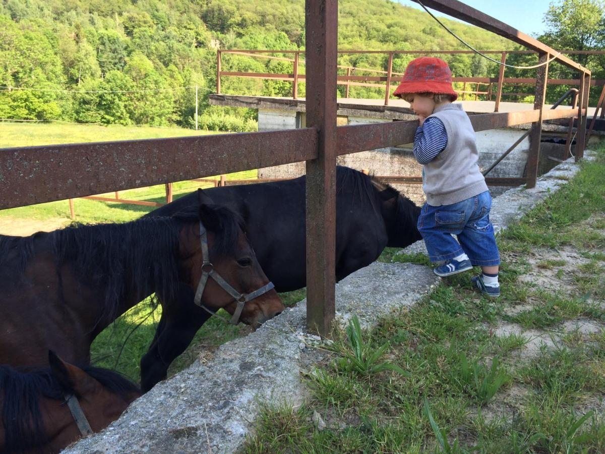 Favetto Family Ranch Bed & Breakfast Rueglio Exterior foto